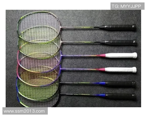 羽毛球运动员康复训练与伤病预防新技术的应用与发展探索